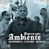 Sigo en Este Ambiente
