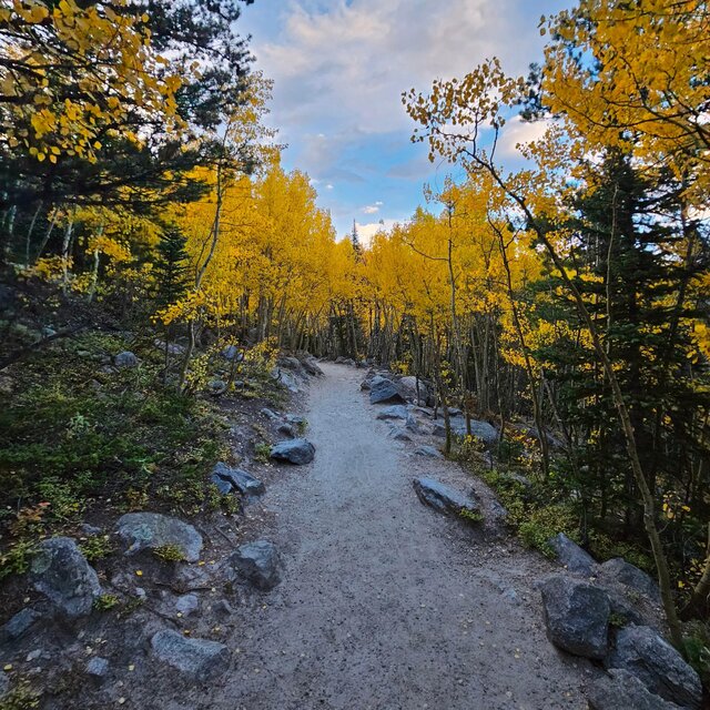 Path #4