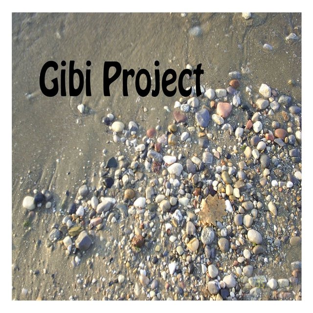 Gibi Project