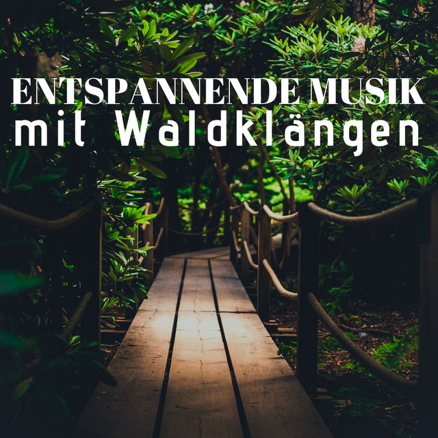 Entspannende Musik mit Waldklängen - Klaviermusìk Modern