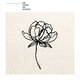 Cover art for album En säng av rosor by Darin