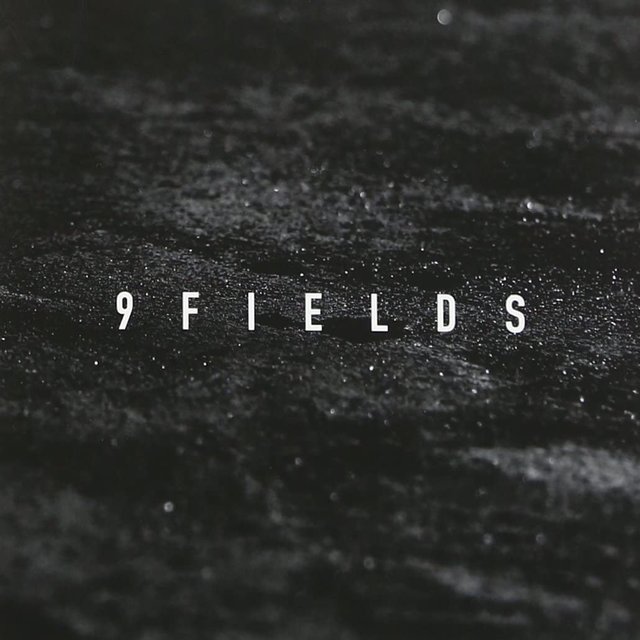 9 FIELDS