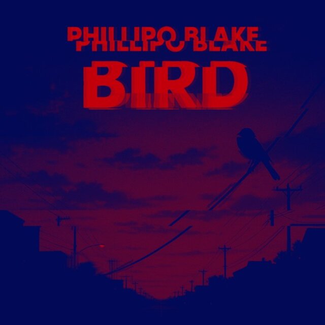Bird (Electronica Phonk Mix)