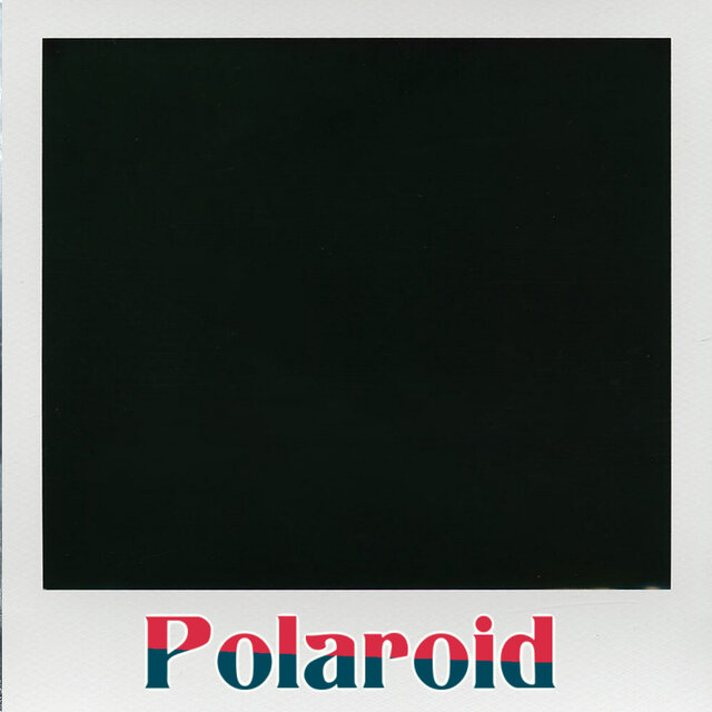 Polaroid