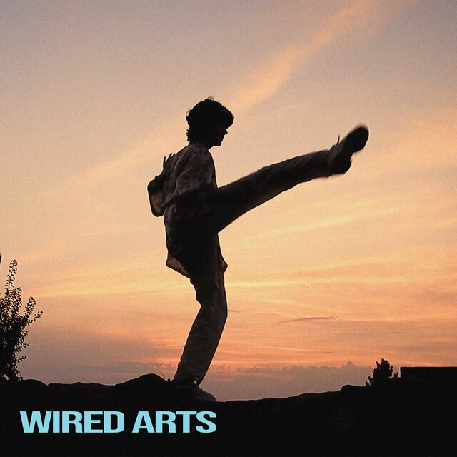 Wired Arts