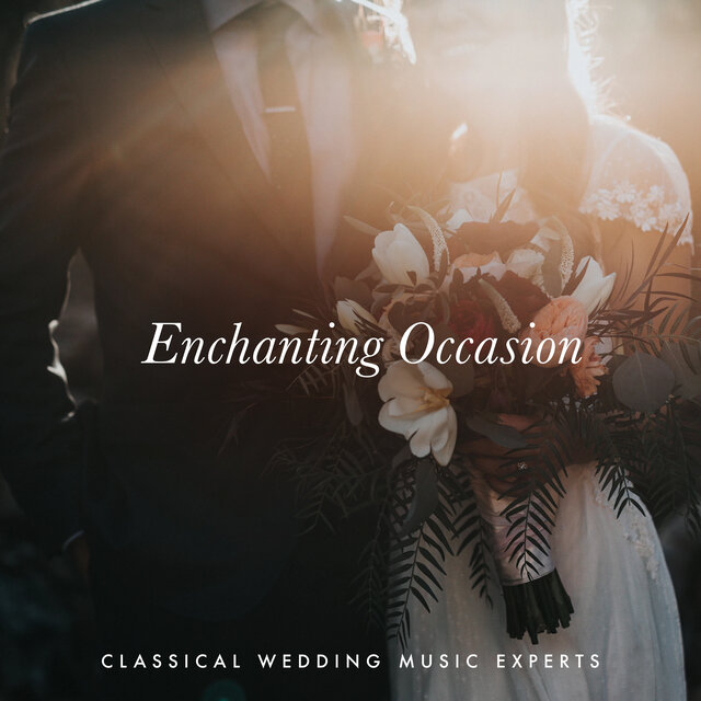 Enchanting Occasion