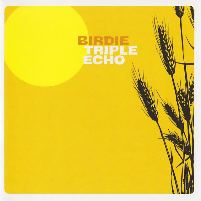 Triple Echo