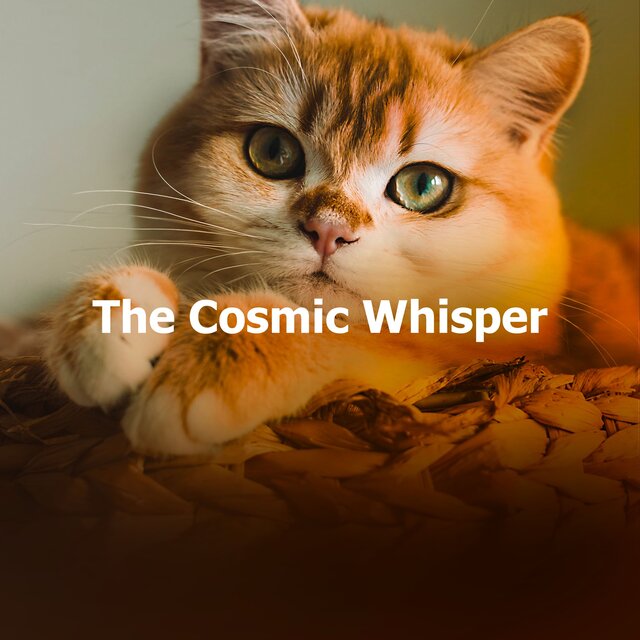 The Cosmic Whisper