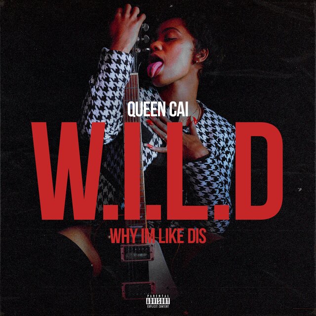 W.I.L.D WHY I'm LIKE DIS