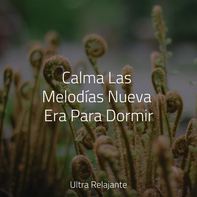 Calma Las Melodías Nueva Era Para Dormir