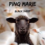 Black Sheep