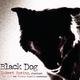 Cover art for album Black Dog by Robert Spring