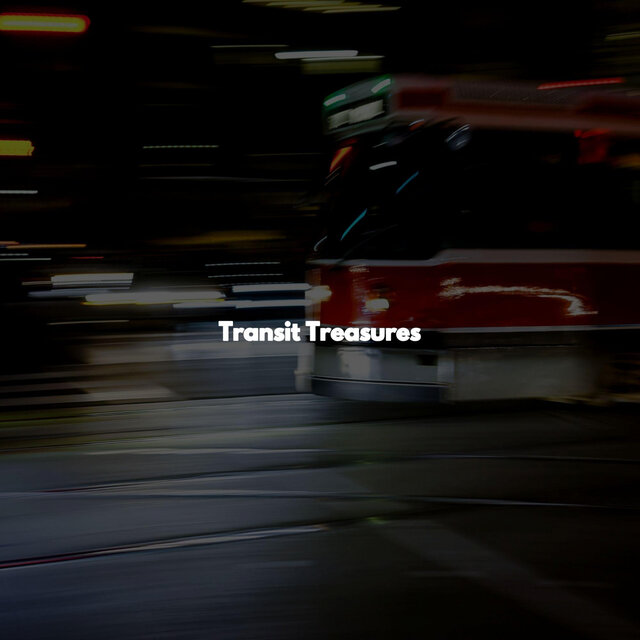 Transit Treasures