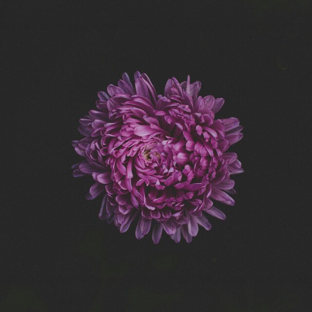 I might say something stupid (Instrumental)
