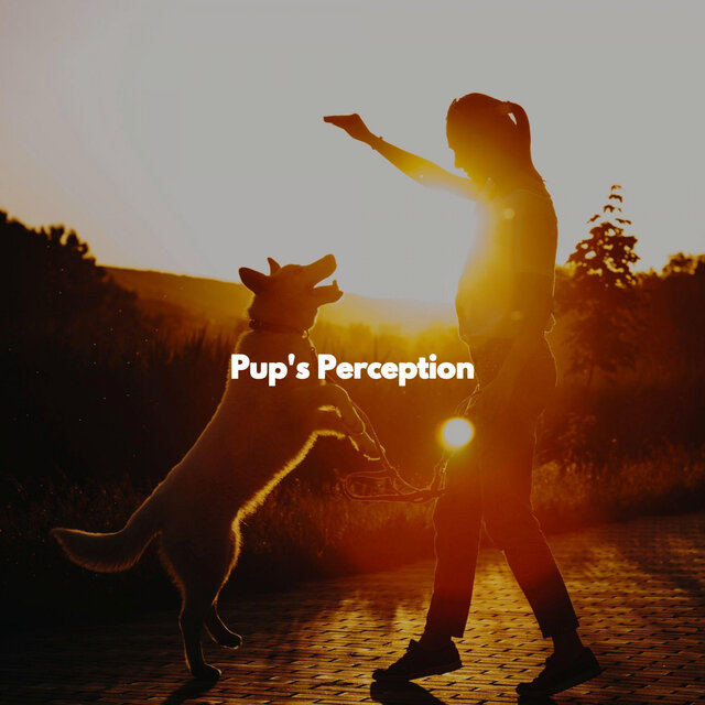 Pup's Perception