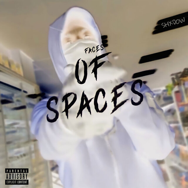 Faces of Spaces
