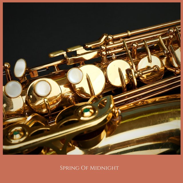 Spring Of Midnight