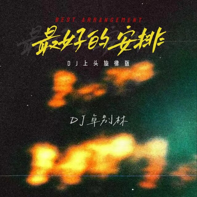 最好的安排 (Dj上头旋律版)
