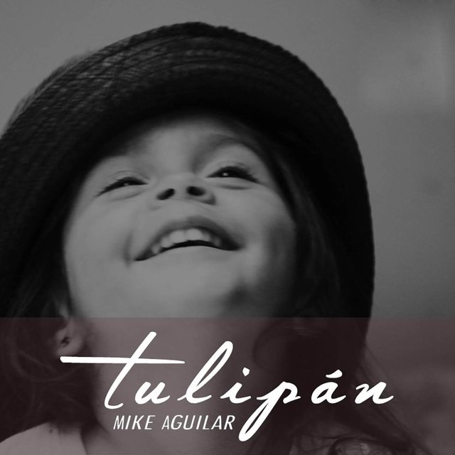Tulipán