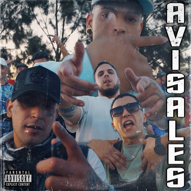 Avisales