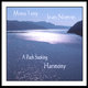 Cover art for album A Path Seeking Harmony by Mona Terry and Jean Norton
