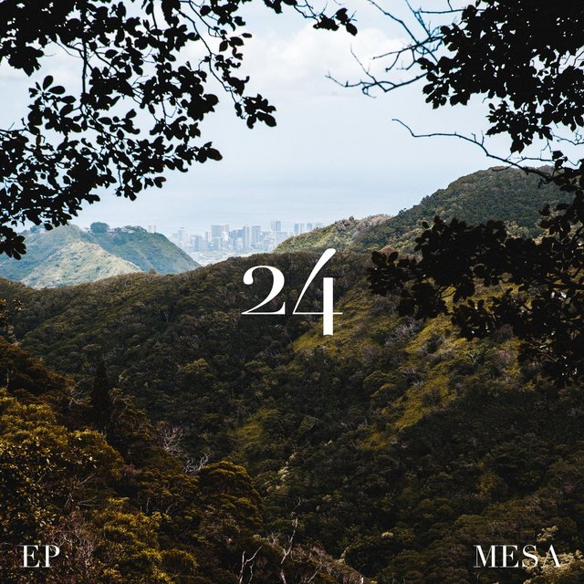 24