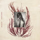 Cover art for album The Mercy of Women by Dead Leaf Echo