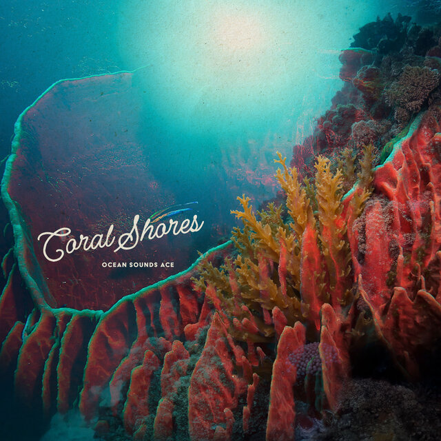 Coral Shores