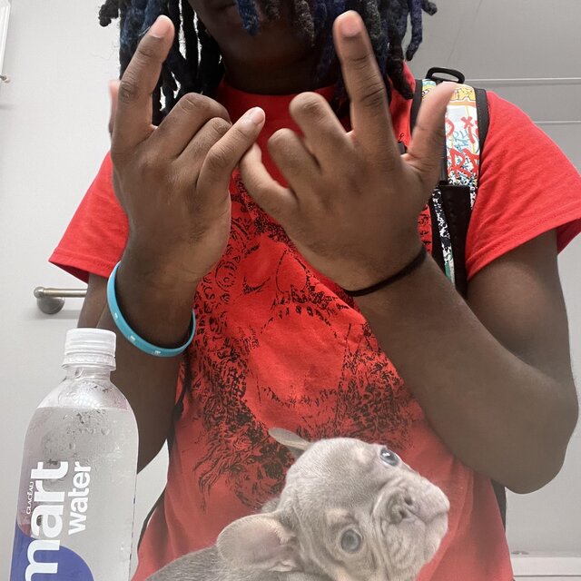 traphouse