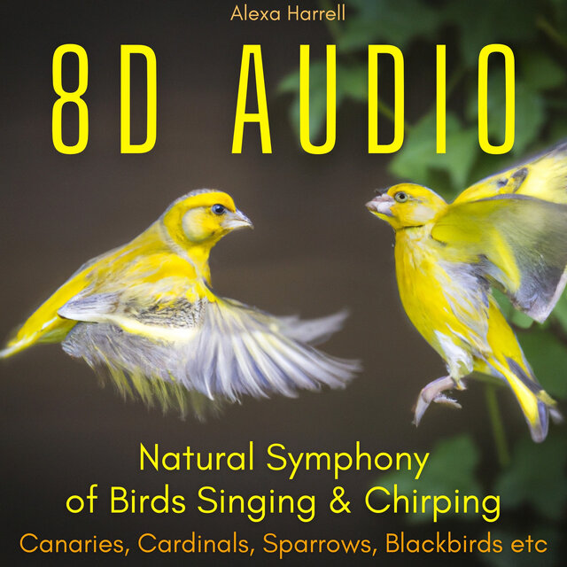8D AUDIO Natural Symphony of Birds Singing & Chirping - Canaries, Cardinals, Sparrows, Blackbirds etc