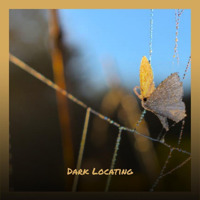 Dark Locating