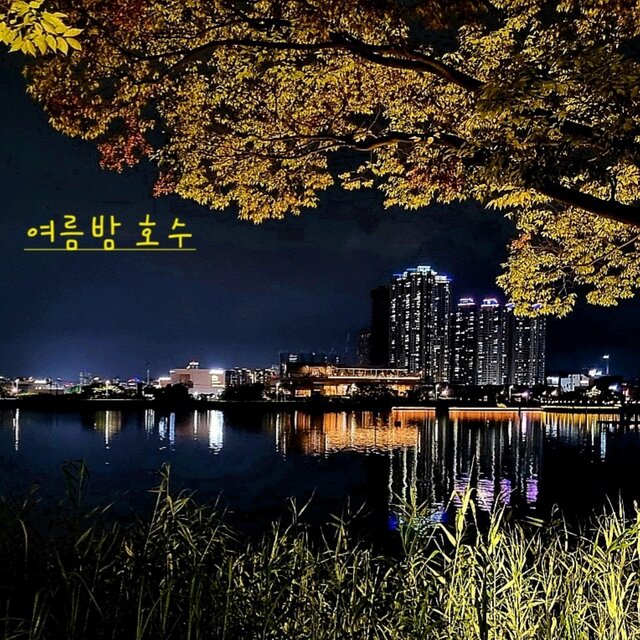 A Lake in a Summer Night