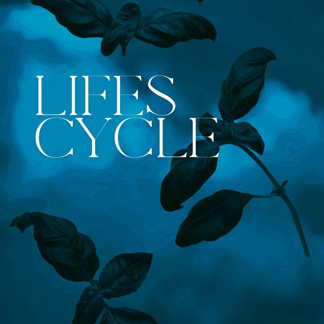 Lifes Cycle