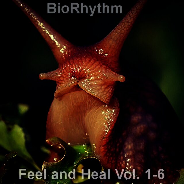 Feel and Heal, Vol. 1-6