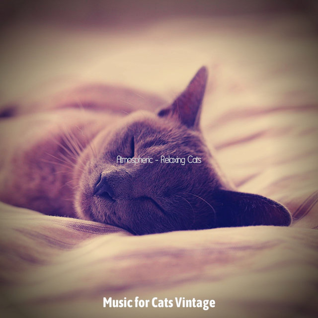 Atmospheric - Relaxing Cats