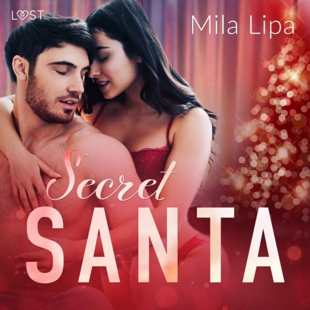 Secret Santa - Erotisk novell