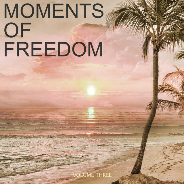 Moments Of Freedom, Vol. 3 (Finest In Chilled & Relaxing Lounge Tunes)
