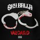 Cover art for album Validated by Sky Balla