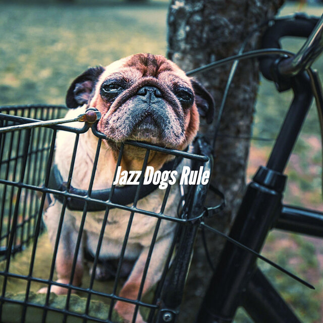 Jazz Dogs Rule