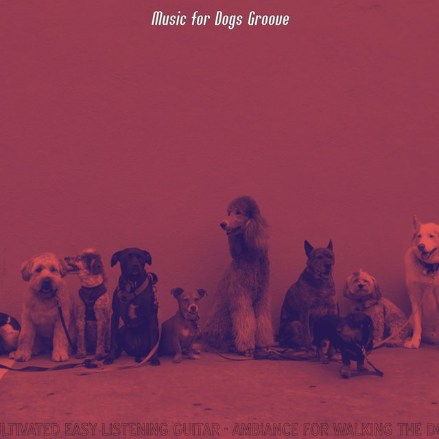 Cultivated Easy Listening Guitar - Ambiance for Walking the Dog