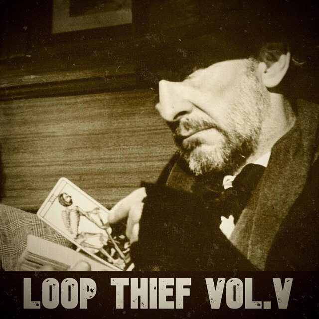 Loop Thief Vol. V