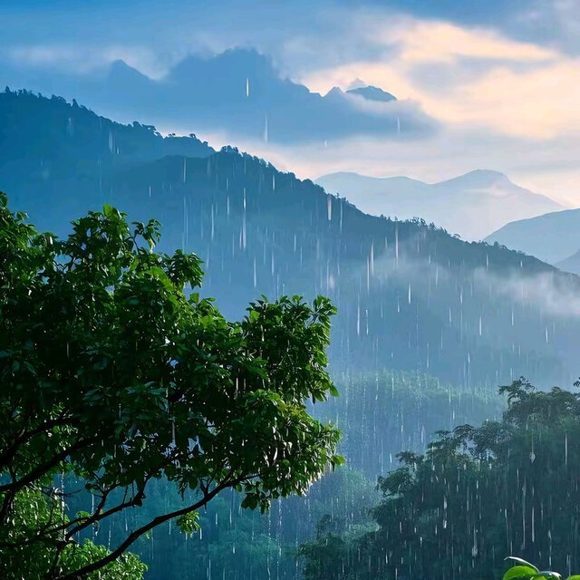 雨水 (唯美旋律|舒缓解压|轻音乐)