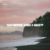 Where Did I Go?