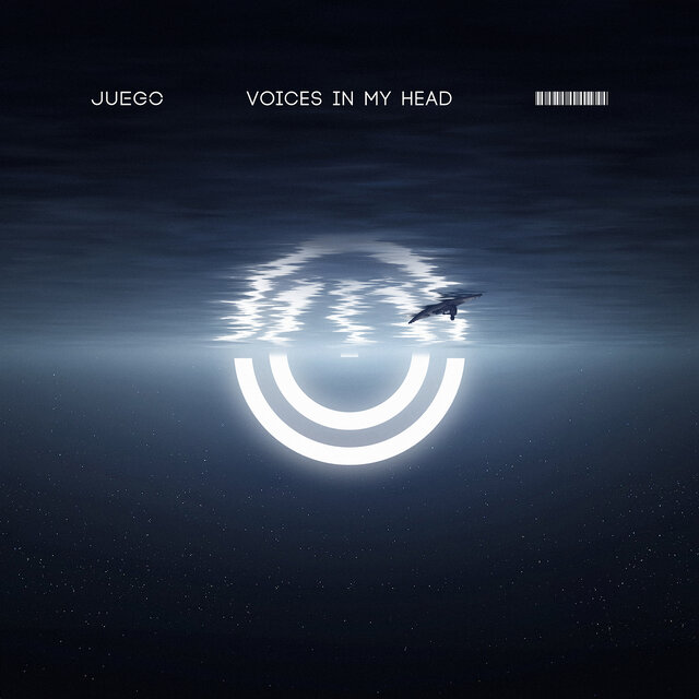 Voices in My Head