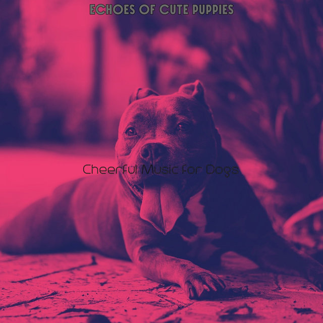 Echoes of Cute Puppies