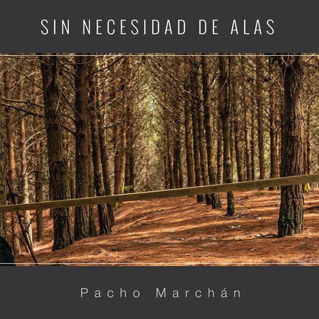 Sin Necesidad de Alas