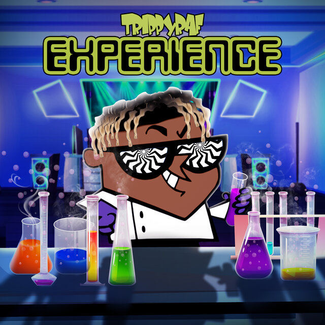 EXPERIENCE