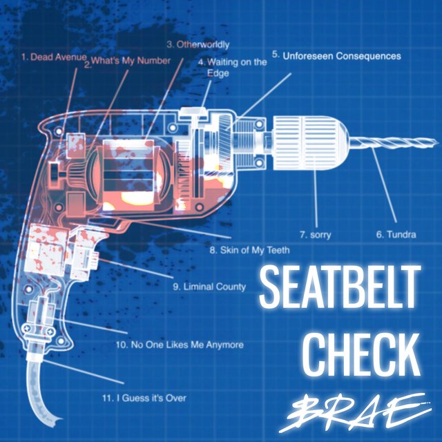 SEATBELT CHECK