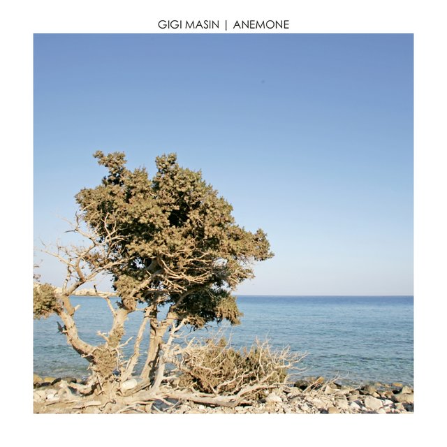 Talk To The Sea | Gigi Masin | Music From Memory