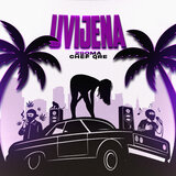 Uvijena